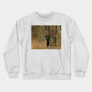 Momma Bear Crewneck Sweatshirt